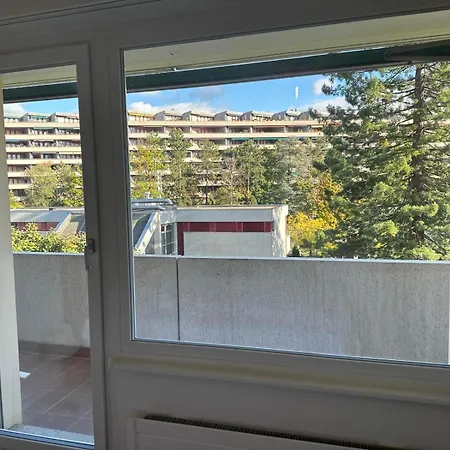 Beautiful 2-bed Near Palexpo, Un Agencies & Diplomatic Missions Geneva
