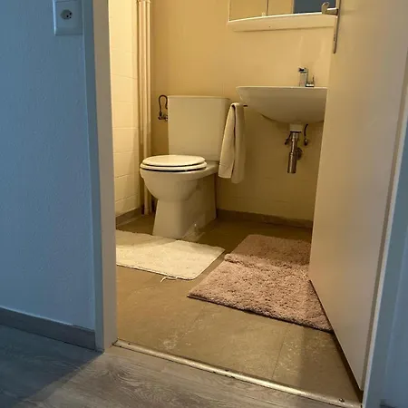 Apartment Beautiful 2-bed Near Palexpo, Un Agencies & Diplomatic Missions *