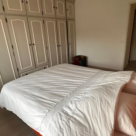 Beautiful 2-bed Near Palexpo, Un Agencies & Diplomatic Missions